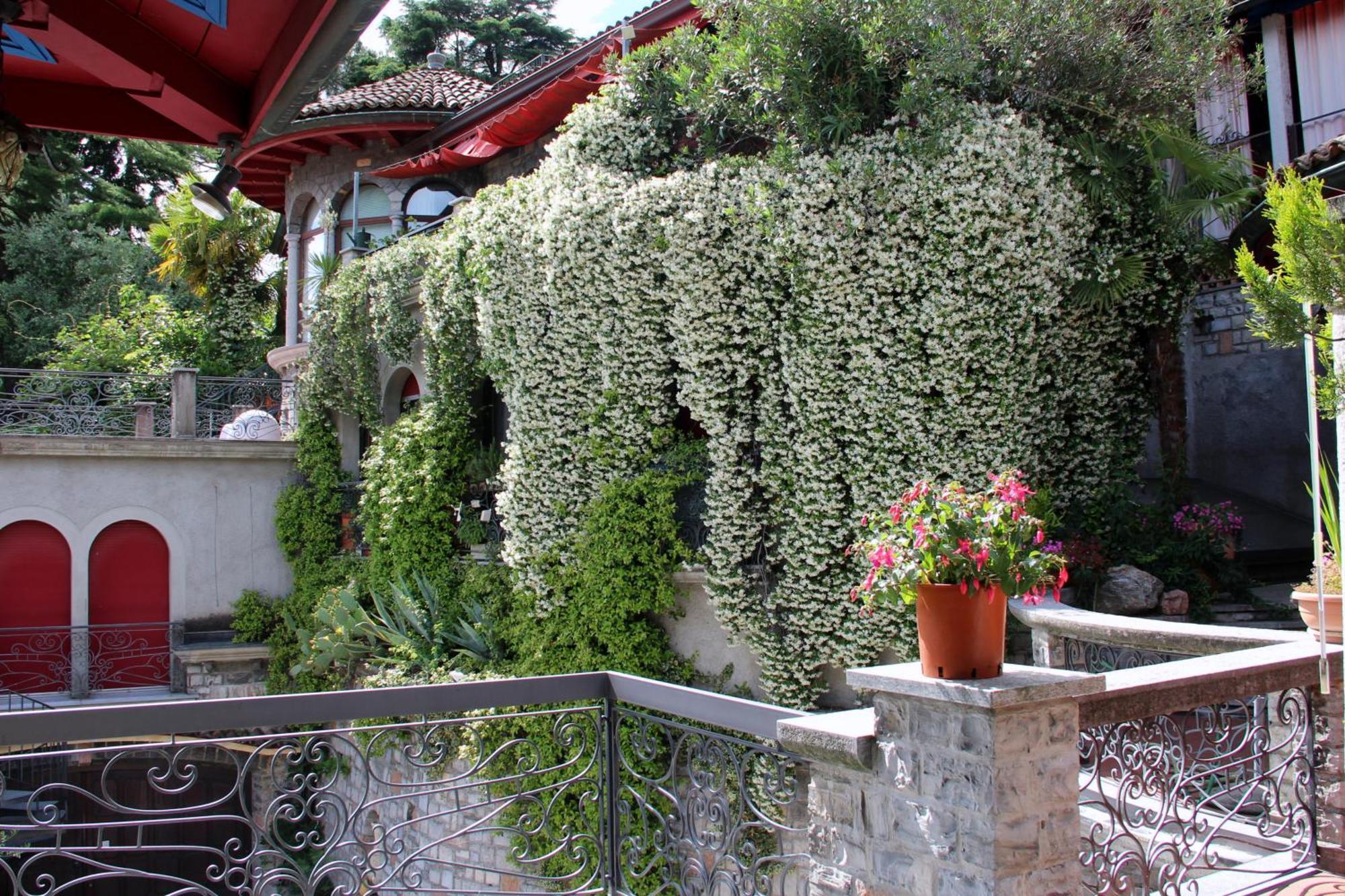 Barony Le Pergole Holiday Apartments Лугано Экстерьер фото
