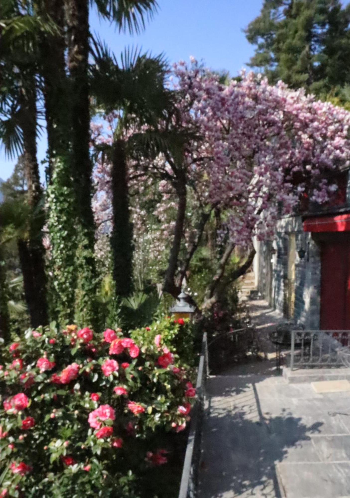 Barony Le Pergole Holiday Apartments Лугано Экстерьер фото